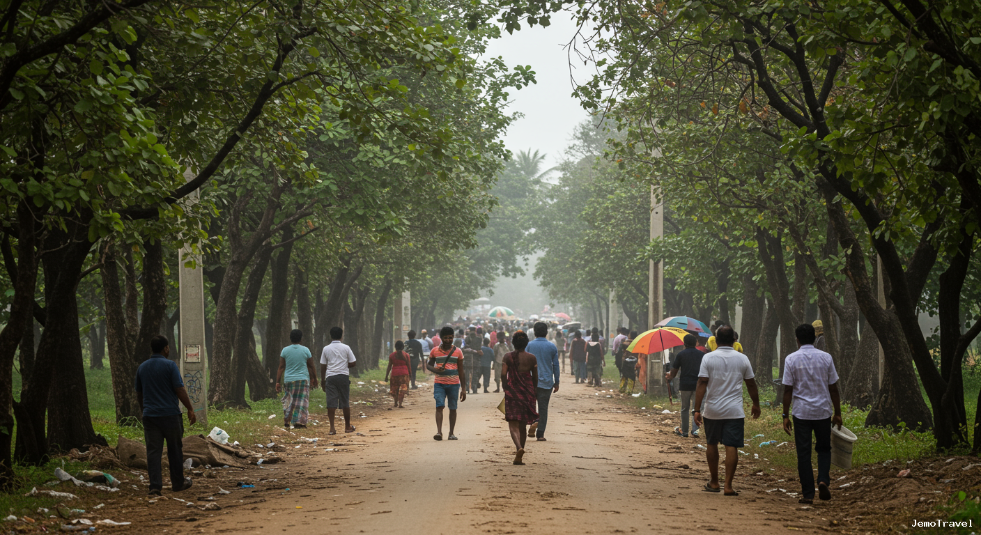 Cyclone Ditwah Hits Sri Lanka: At Least 600 Dead, Thousands Displaced - Cyclone Ditwah has caused widespread devastation across Sri...