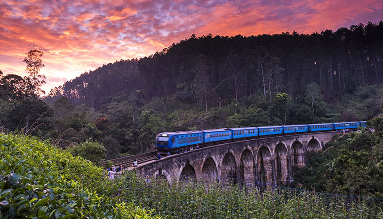 Best Time to Visit Sri Lanka