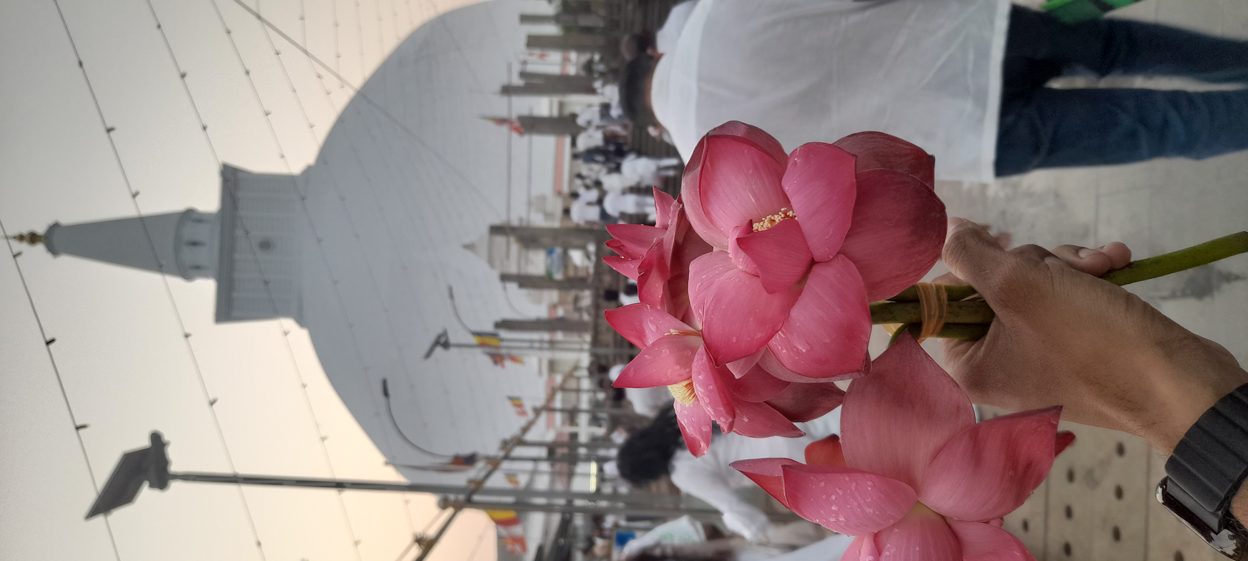 Ruwanwalisaya anuradapura