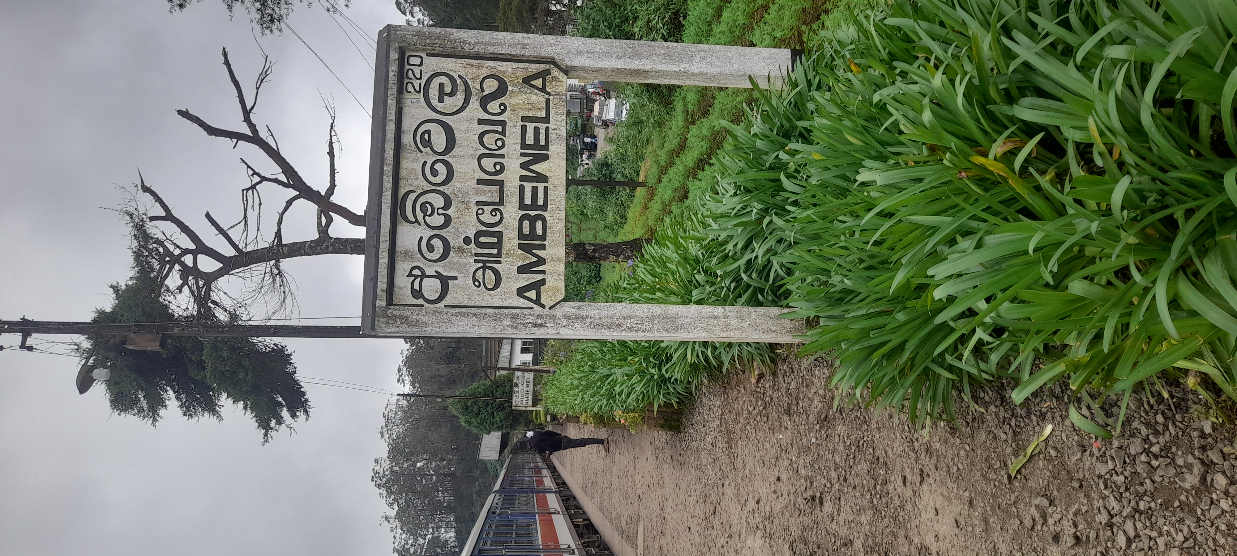 Visitor photo from JEMO TRIP & TOUR experience