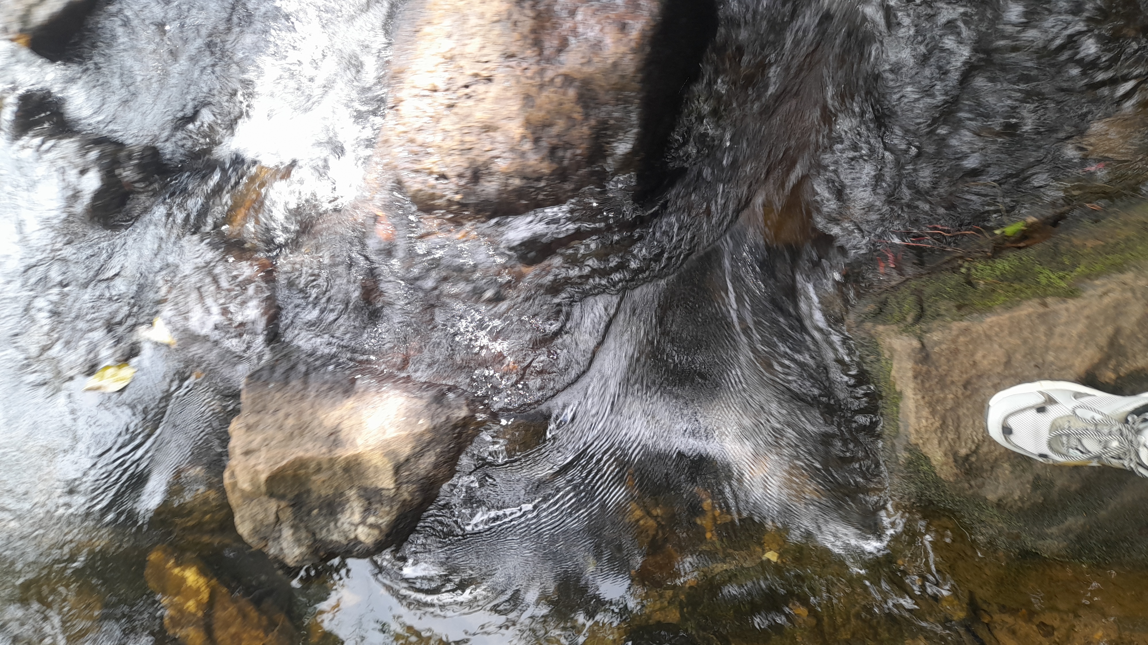 Visitor photo from JEMO TRIP & TOUR experience