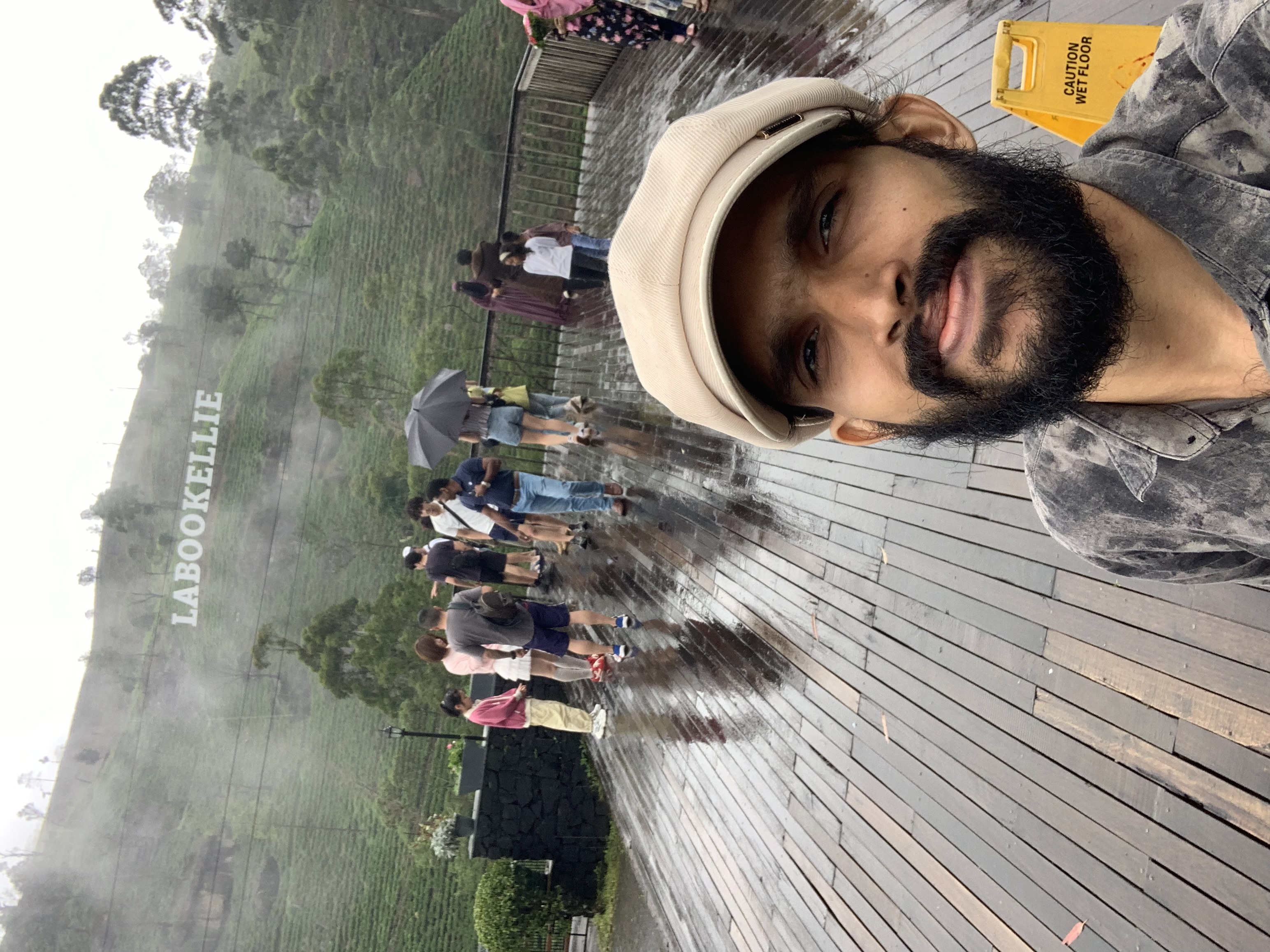 Labookele tea plantation view point