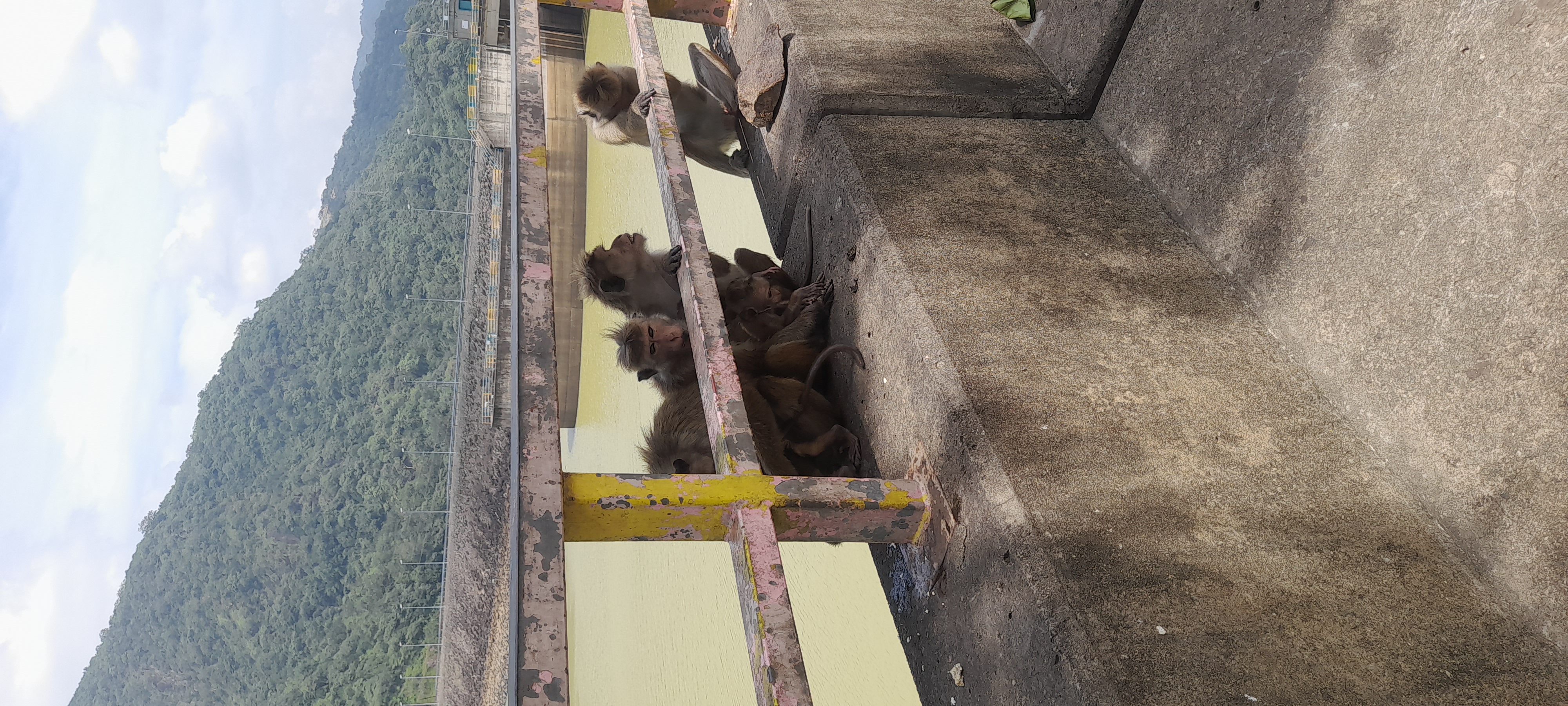 Visitor photo from JEMO TRIP & TOUR experience